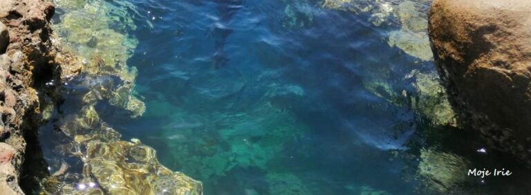 IMG-20190627-WA0020-min