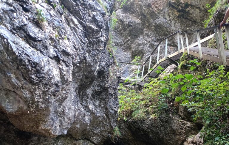 IMG20230926131719-min